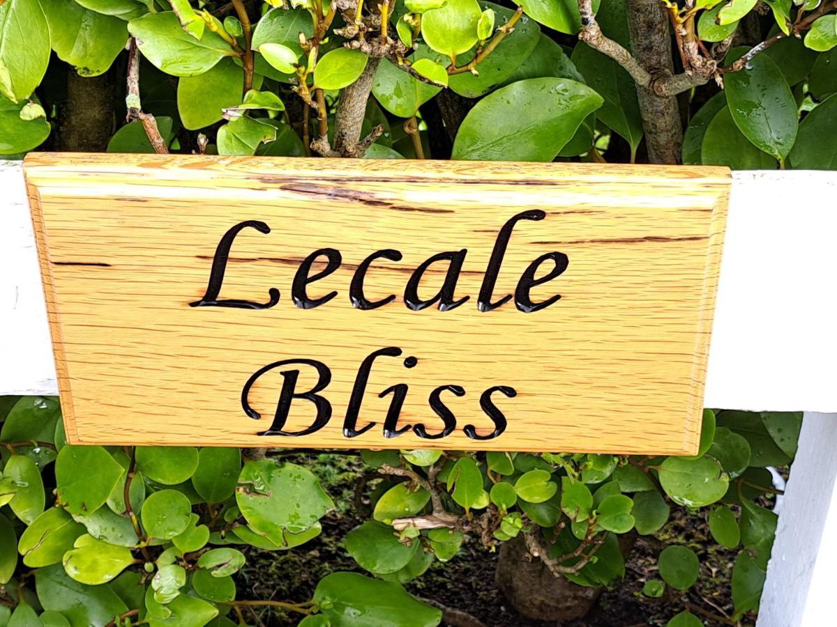Bed and Breakfast Lecale Bliss Downpatrick Esterno foto