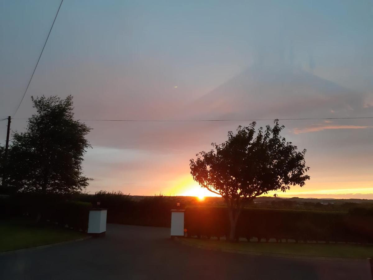 Bed and Breakfast Lecale Bliss Downpatrick Esterno foto