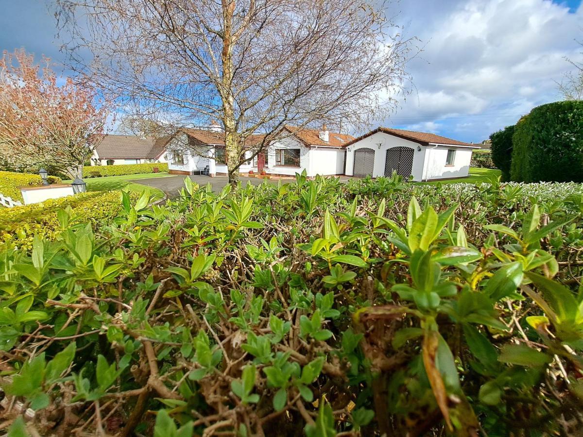 Bed and Breakfast Lecale Bliss Downpatrick Esterno foto